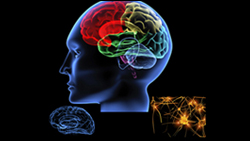 enfermedades neurologicas