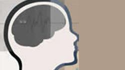 mapeo cerebral