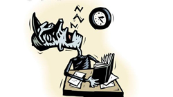 talleres individuales del sueño